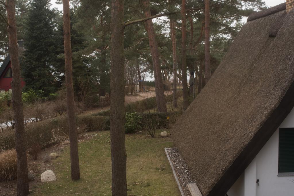 Reetdach-Ferienhaus In Quilitz Rankwitz Exteriör bild